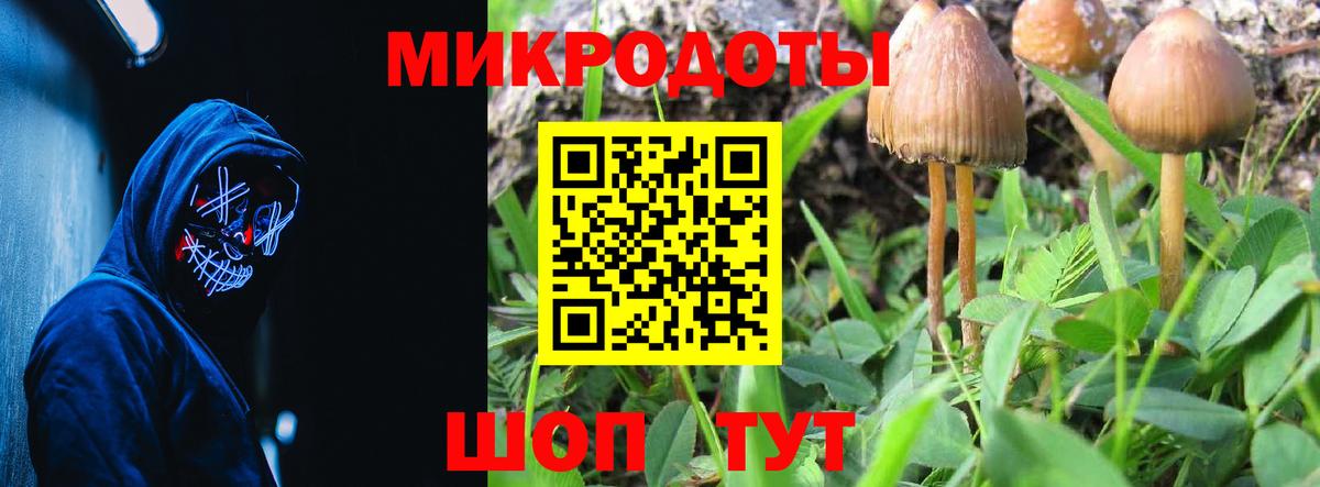 Галлюциногенные грибы Magic Shrooms Красный Сулин